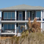 Sand Dollar_Pic 13